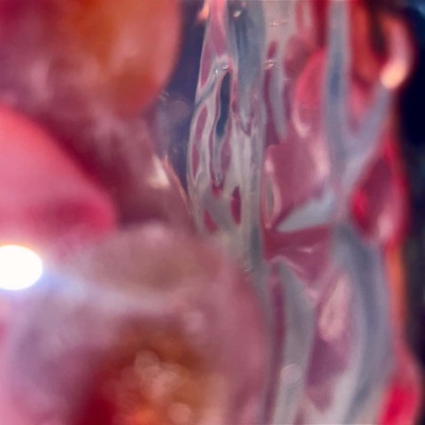 Wona — Too Many Jellies (Mastering by Mad Flux Audio)